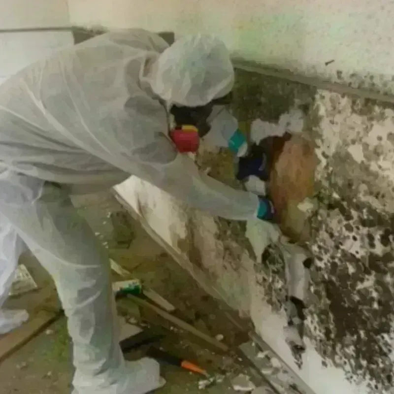 Mold Remediation and Removal in Southbury, CT